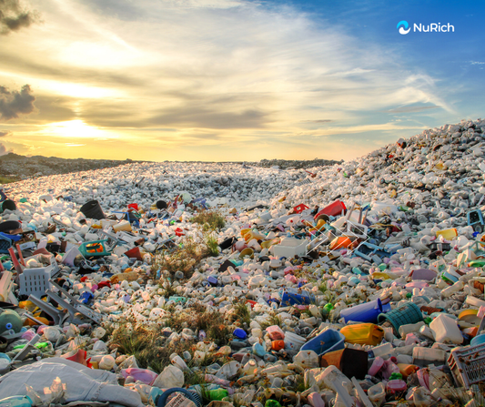 The True Cost of Plastic: $1.5 Trillion a Year in Human Disease and Death