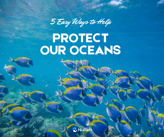 The Ocean Remembers: Why We Must Act Now to Protect It