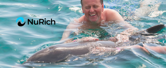 Dolphin swimming