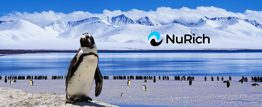 Penguins