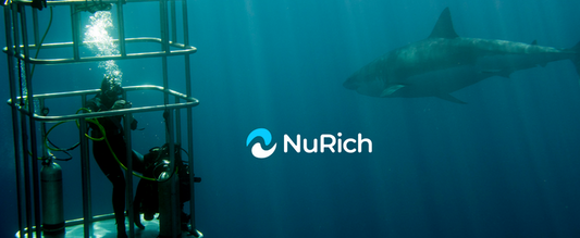 Shark Cage Diving
