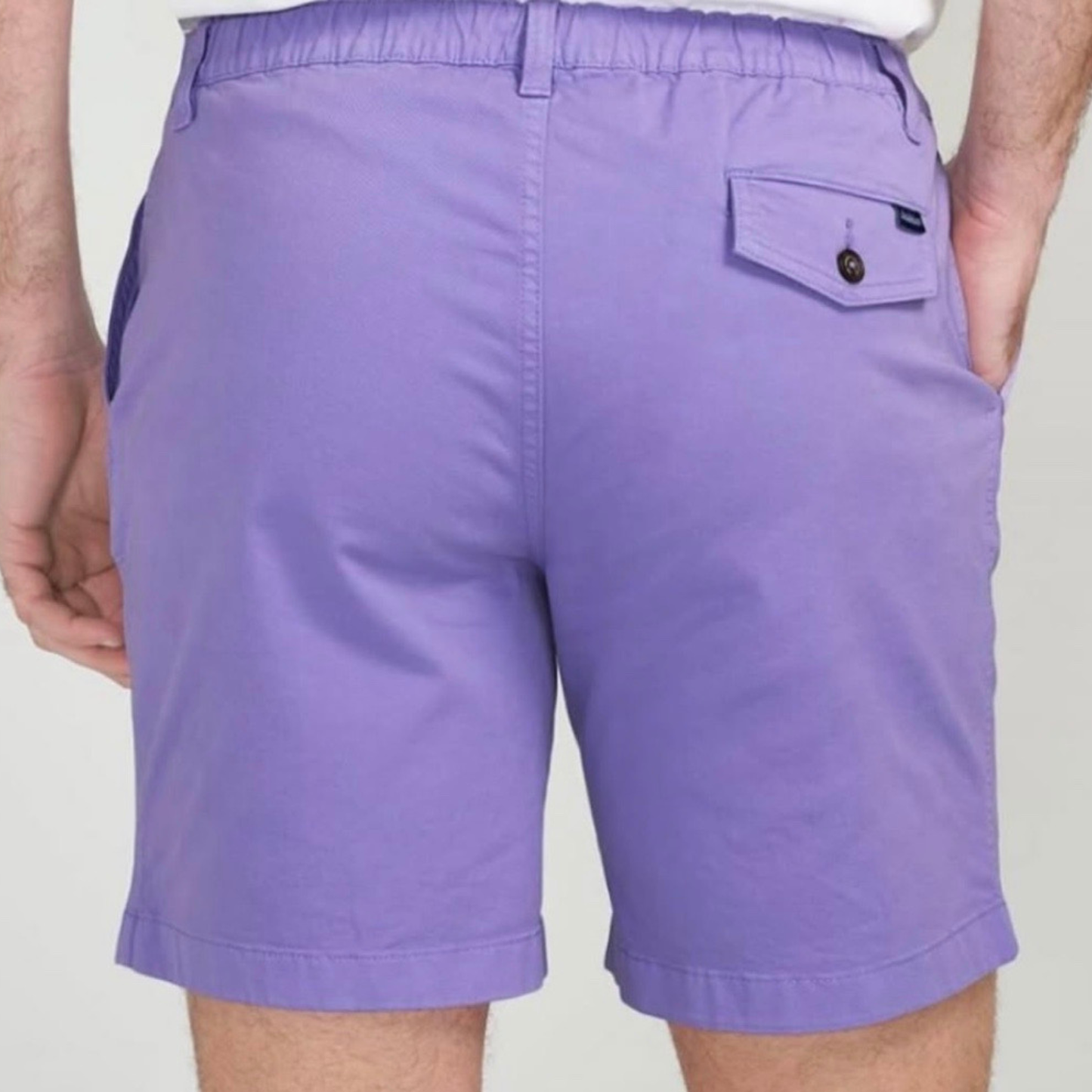 The Wisterias - 5.5"