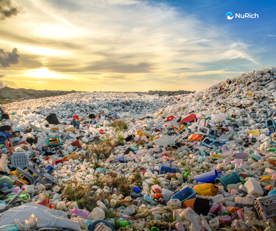 The True Cost of Plastic: $1.5 Trillion a Year in Human Disease and Death