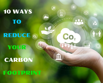 10 WAYS TO REDUCE YOUR CARBON FOOTPRINT