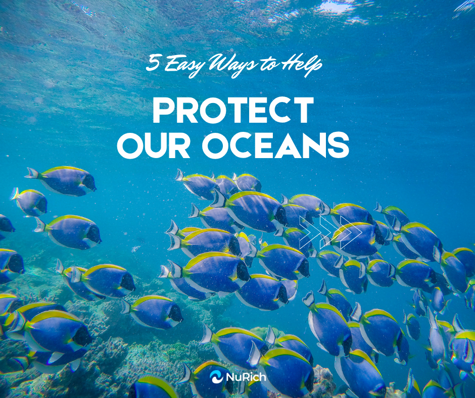 The Ocean Remembers: Why We Must Act Now to Protect It