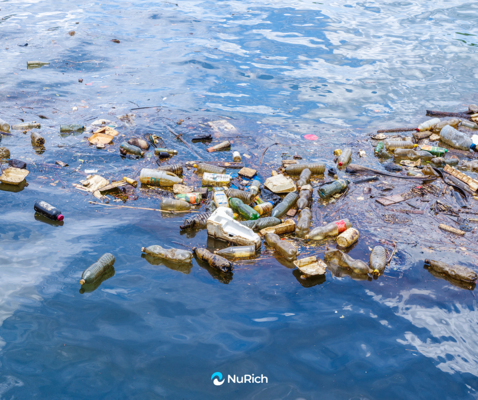 🌪️ Typhoon Wipha Brings More Than Floods—It Reveals Our Trash Crisis