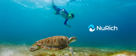 Sea turtle snorkeling
