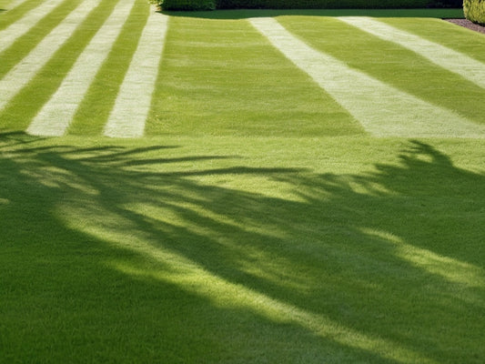Freshly mowed lawn with neat mowing stripes in morning light