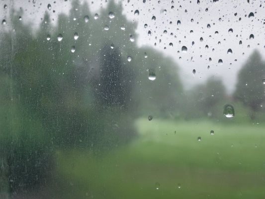 Raindrops on a window pane on a cool overcast day
