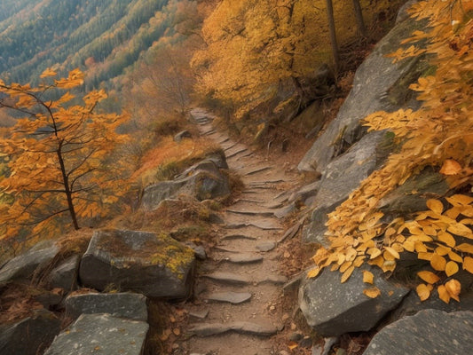 Rocky hiking trail descending through a golden autumn forest