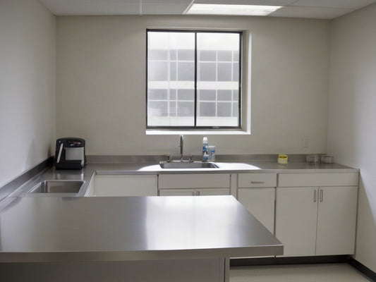 A plain stainless steel sink in a simple office breakroom kitchen with bare countertops in soft daylight