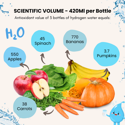 NuRich Echo Flask — Portable Hydrogen Water Bottle (420ml, Rechargeable)
