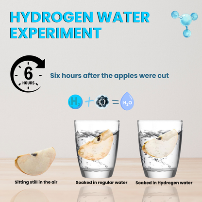 NuRich Echo Flask — Portable Hydrogen Water Bottle (420ml, Rechargeable)
